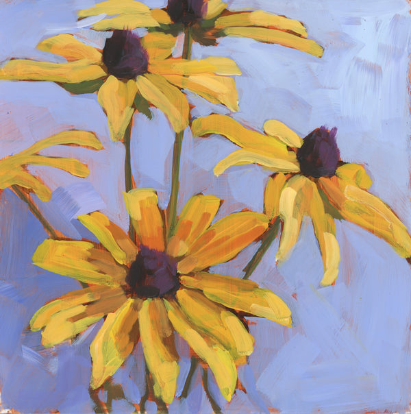 Black Eyed Susans