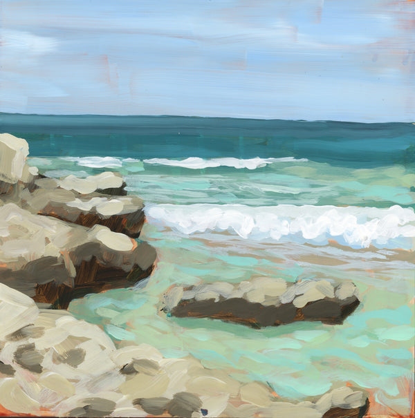 Rocky Shoreline