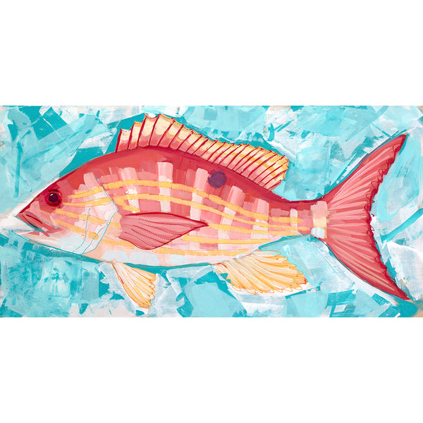 Fish 2022 no. 12 - Snapper